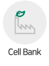 Cell Bank